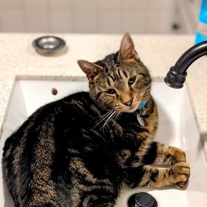 Meet your Posher, Jen